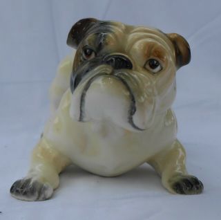 Vintage Pug/bulldog Ceramic Figurine Gorgeous Pouncing Boy