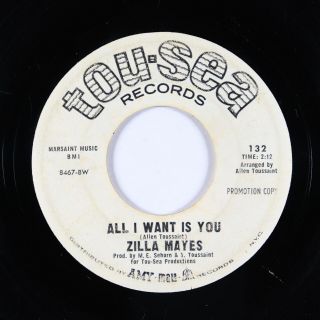 Northern/deep Soul 45 - Zilla Mayes - All I Want Is You - Tou - Sea - Mp3