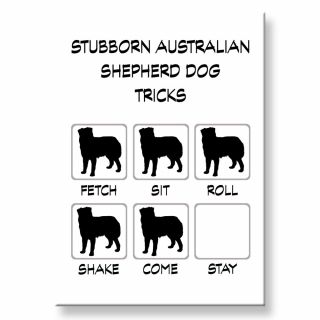 Australian Shepherd Dog Stubborn Tricks Fridge Magnet Steel Case Funny