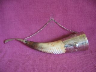 Vintage Cow Bovine Horn Silver Plate Mounted Hunting Stirrup Cup Approx 14 " Long
