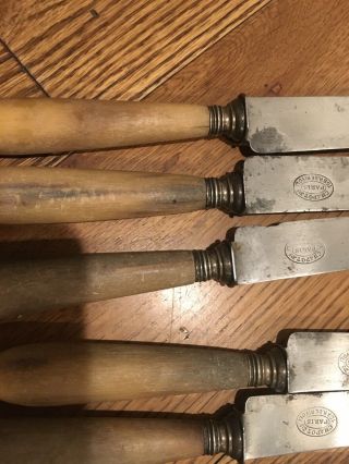 Set Of 10 Antique French Knives Horn Handle