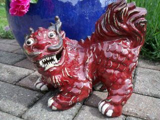 A Large Chinese Red Guardian Lion Or Foo Dog Statue/figure 22.  5 Cm Weighs 2492 G