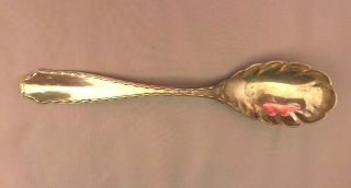 Rare Tiffany & Co Sterling Silver Large Jelly,  Preserve,  Spoon 1902 Marquis (ab1