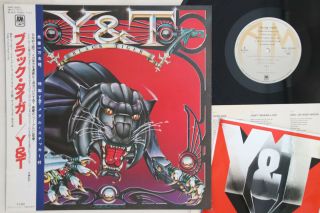 Lp Y & T Black Tiger Amp28055 A&m Japan Vinyl Obi