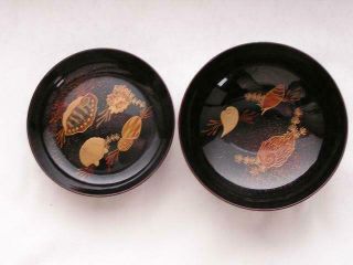 Antique Japanese Lacquer Chawan With Sea Shells 1900 - 15 4274