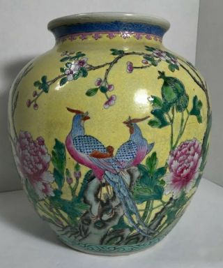 Chinese Yellow Ground Famille Rose 19th Century Jar Or Vase W Pheasants 2