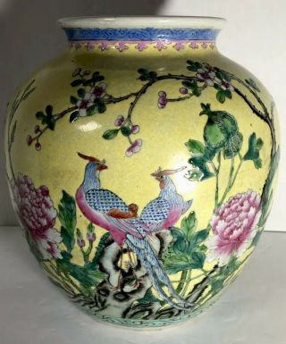 Chinese Yellow Ground Famille Rose 19th Century Jar Or Vase W Pheasants 4