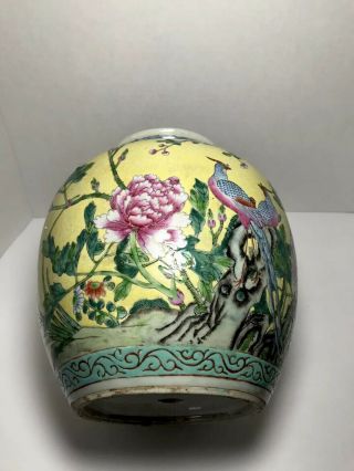 Chinese Yellow Ground Famille Rose 19th Century Jar Or Vase W Pheasants 6