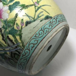 Chinese Yellow Ground Famille Rose 19th Century Jar Or Vase W Pheasants 7