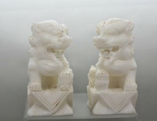 A Stunning Vintage Chinese Hand Carved White Marble Fu Dogs Circa 1930s