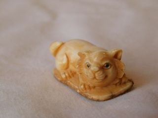 Antique Japanese Carved Cat Or Kitten Netsuke Artist Signed
