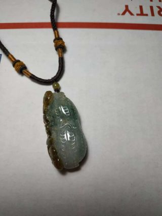 Grade A 100 Natural Burmese Jadeite Jade Peanut Pendant Necklace 88