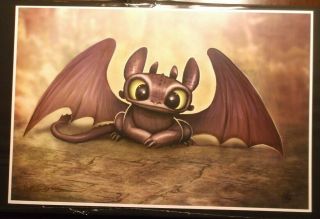 Nathan Szerdy Signed 12x18 Signed Art Print Toothless How To Train Your Dragon