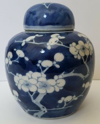 Very Fine Antique Chinese Porcelain Prunus Blossom Jar Kangxi Marks