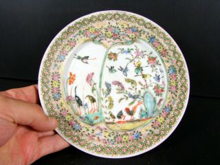 Chinese Export Enamelled Porcelain Birds & Flowers Plate,  Not Signed