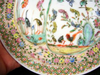 Chinese Export Enamelled Porcelain Birds & Flowers Plate,  not Signed 2