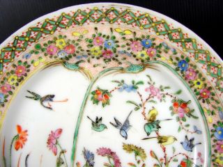 Chinese Export Enamelled Porcelain Birds & Flowers Plate,  not Signed 3
