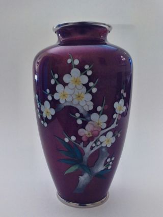Vintage Chinese Ox Blood Red Foil Ginbari Cloisonne Vase,  Cherry Blossoms 7.  25 "