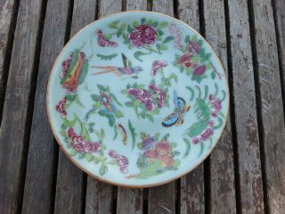 Antique Chinese Qing Tongzhi Famille Rose Canton Celedon Porcelain Plate (a)