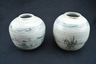 Chinese Export Blue White Ginger Jar Porcelain Pair