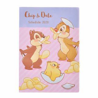 Chip & Dale 2020 Schedule Book B6 Monthly Glutton Disney Store Japan 2019