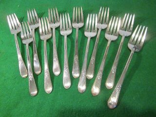 (12) - 1847 Rogers Bros Adoration International Silver Plate Salad Dessert Forks