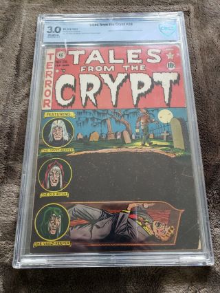 Tales From The Crypt 28 Cgc 3.  0 Pre Code Horror Ec Comics Man Buried Alive Cover