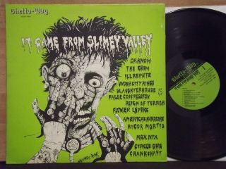 It Came From Slimey Valley - Rare Orig Press Punk Comp Dr Know,  Circle One