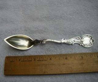 Scarce George Shiebler Sterling Rococo (1888) Citrus Spoon - Gilt Bowl - No Mono