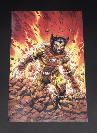 Return Of Wolverine 1 Steve Mcniven Virgin 1:200 Variant Nm Marvel Comics