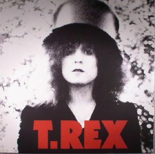 T Rex - The Slider: 40th Anniversary - Vinyl (180 Gram Vinyl Lp)