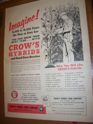Vintage Seed Corn Advertising - 10 " X 14 " - Crows Hybrid Seed Corn