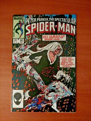 Peter Parker Spectacular Spider - Man 90 Nm First Black Costume / Black Cat