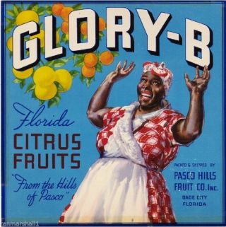 Dade City Florida Glory - Be Orange Citrus Fruit Crate Label Art Print 8.  5 X 11