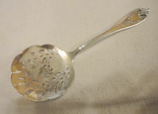 1847 Rogers Old Colony 1911 Colonial Style Round Pierced Tomato Server