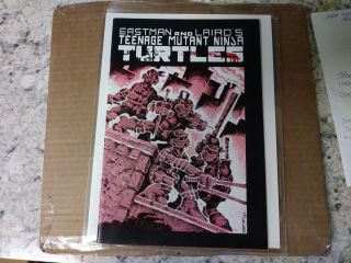 Teenage Mutant Ninja Turtles 1 (1984,  Mirage) Eastman & Laird Origin