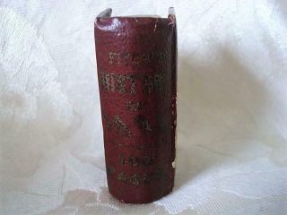 Scarce Antique Fitch ' s History of Java Small Empty Java Tolu Gum Book Box 2