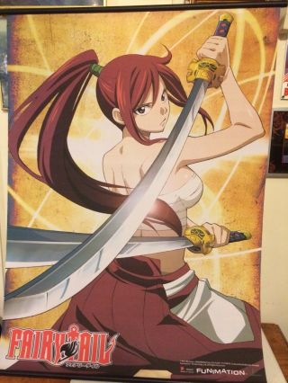 Funimation Hiro Mashima Fairy Tail Guild 42.  5 " Tall X 31 " Wide Roll - Up Banner