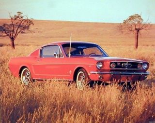 Wall Decor 1965 Red Ford Mustang Fastback Vintage Car Art Print Poster (16x20)
