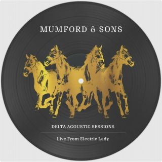 Mumford And Sons Delta Acoustic Sessions 10” Pic Disc Vinyl Rsd 19