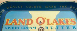 Vintage Metal Tray Advertising LAND O ' LAKES CREAMERIES Great Colorful Graphics 4
