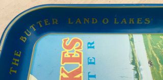Vintage Metal Tray Advertising LAND O ' LAKES CREAMERIES Great Colorful Graphics 5