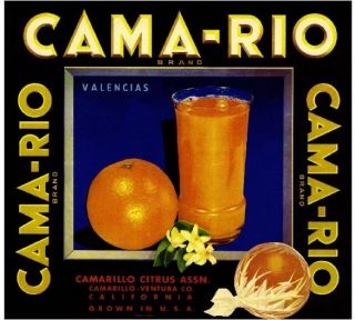 Camarillo Cama - Rio Orange Citrus Crate Label Print