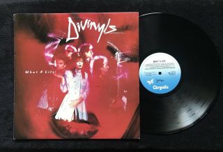 Divinyls ‎– What A Life - 1985,  Chrysalis ‎– Rml 53130,  With Insert
