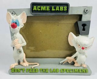Vintage Pinky And The Brain Resin 3d Picture Frame Warner Brothers 1996