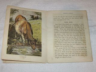Antique Child ' s Book - Aunt Friendly ' s Coloured Picture Book - Domestic Animals 6