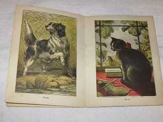 Antique Child ' s Book - Aunt Friendly ' s Coloured Picture Book - Domestic Animals 7