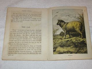 Antique Child ' s Book - Aunt Friendly ' s Coloured Picture Book - Domestic Animals 8