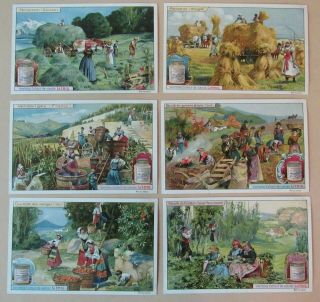 Liebig - Produce Of Nations - 19th Century / C1910s Trade Card Set Of 6