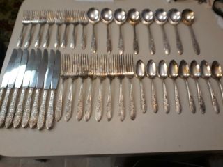 National Silver Co A1 Roses & Leaf Silverware 48 Piece Set Serves 8